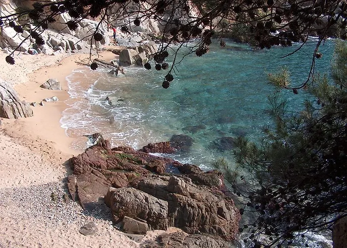 Evenia Olympic Garden